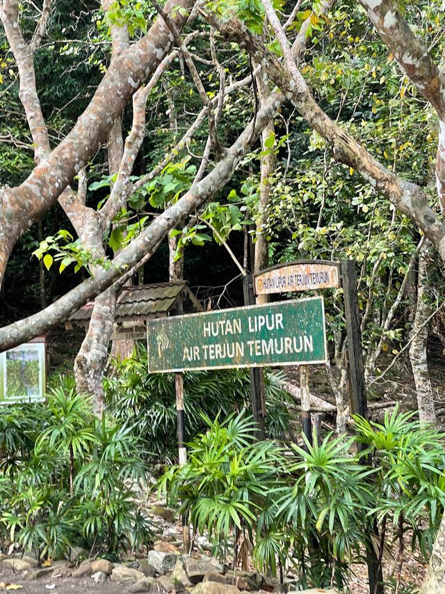 Temurun Waterfall 🕊️🍃