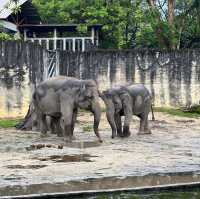  The oldest zoo in Malaysia : Zoo Taiping