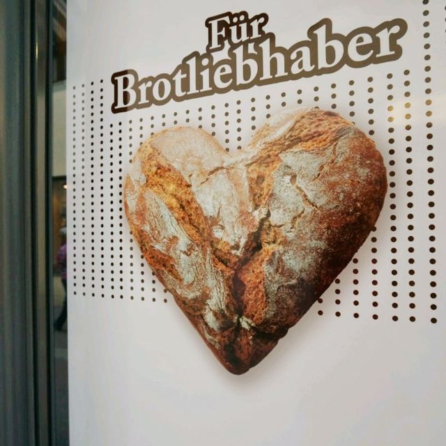 🇨🇭스위스 루체른 동네 산책해 보아요~