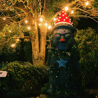 제주의 크리스마스🎄 천지연폭포 🎄