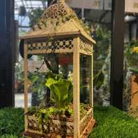 大埔林村隱世打卡植物園Botanic Union