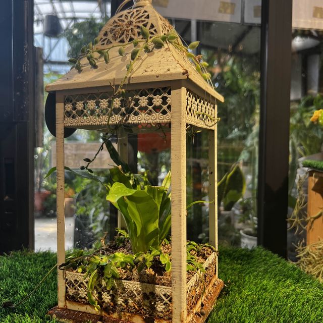 大埔林村隱世打卡植物園Botanic Union