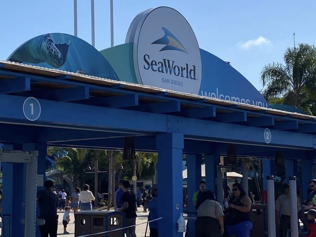 exploring the sea world in the city! 