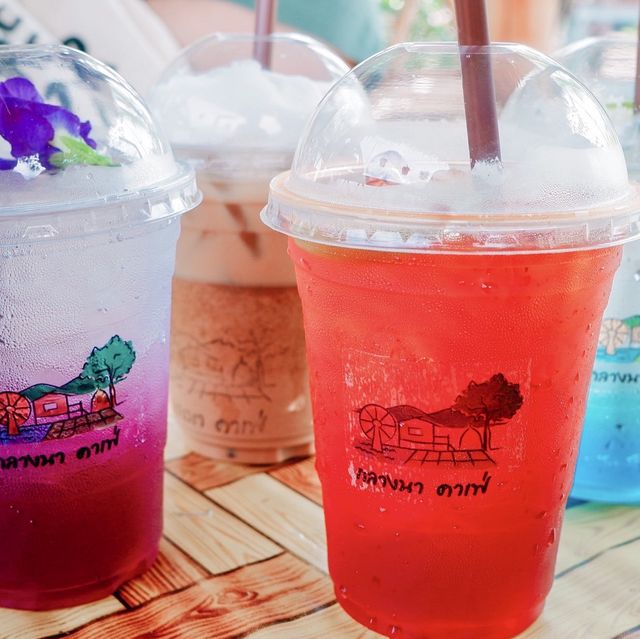เที่ยวตามหมี รีวิวคาเฟ่ :  กลางนาcafe'  #นครนาย