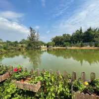 界篇｜隱世歐陸田園小屋🏞｜置身外國世外桃園｜河上鄉何時河地cafe👒