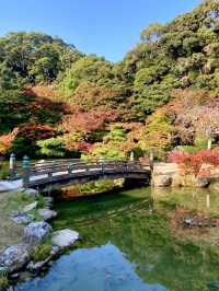 山口県🍁これからの時期が1番オススメ！紅葉スポット🍁【長府庭園】