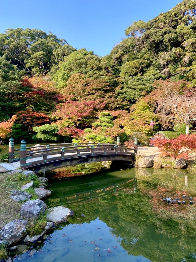 山口県🍁これからの時期が1番オススメ！紅葉スポット🍁【長府庭園】
