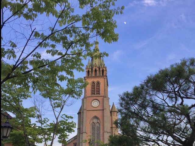더플라자호텔에서 호캉스 즐기기