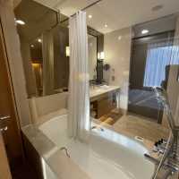 聖誕Hyatt Regency Shatin 住宿
