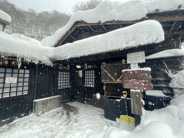 【秋田】THE秘湯♨️乳頭温泉郷「鶴の湯」
