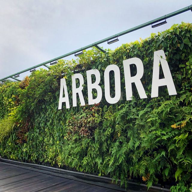 Hilltop Breakfast at Arbora Café 