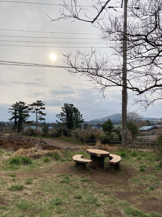 제주 오름 중 금오름~!
