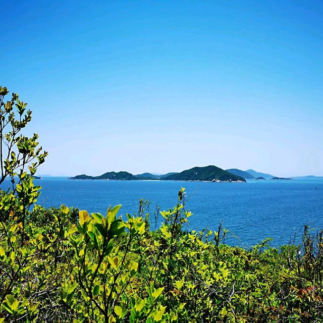 鳳凰徑第九段