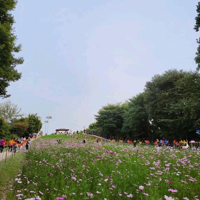 도심 속 꽃밭 올림픽공원