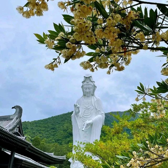 全港最大的觀世音像