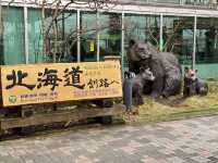 peachを利用して釧路空港へ降り立つ。