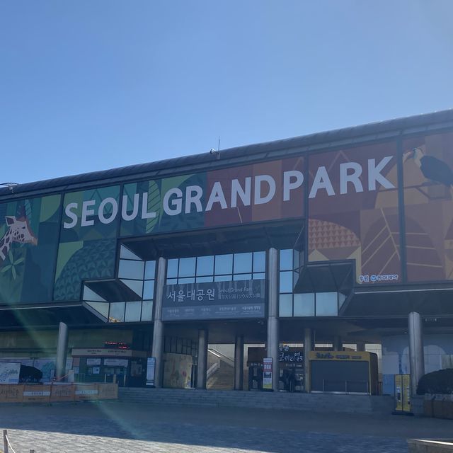 화려한 빛 축제가 가능한 놀이공원, 서울랜드에서 놀자!