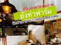 คาเฟ่ในป่ายาง