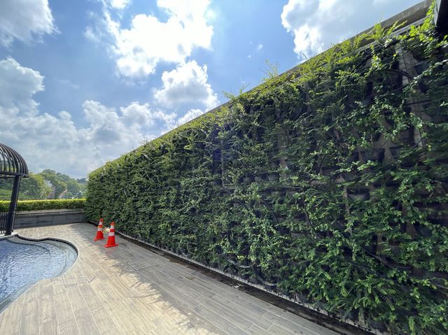 Garden in a hotel