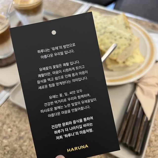 부산여행 부산대카페거리 하루나