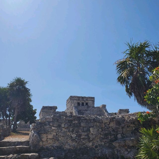 [칸쿤여행] 마야유적지를 볼수 있는, Tulum(툴룸)