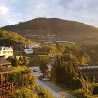 alishan! Nice place to hike and relax 