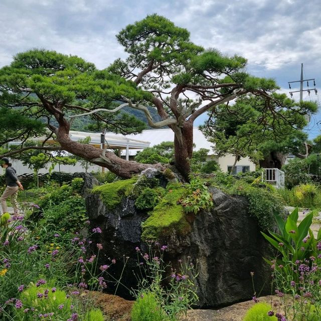 🌿대구 팔공산 대형 카페, 헤이마
