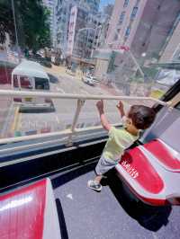 Big bus 九龍歷史遊
