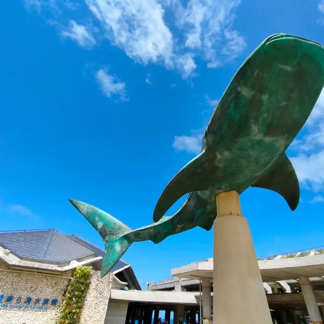 【沖縄 国頭村】美ら海水族館🐋