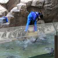 【新潟市水族館マリンピア日本海】