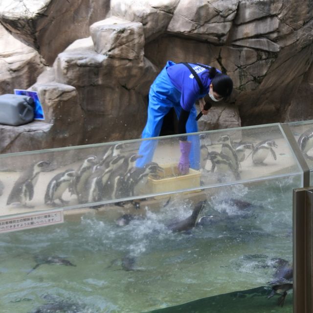 【新潟市水族館マリンピア日本海】