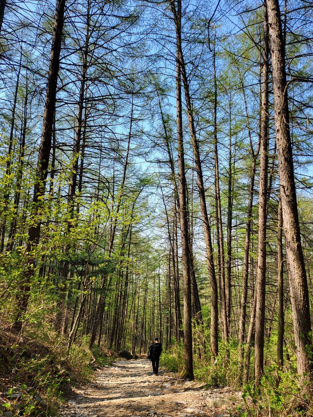 검단산 ⛰️ 하남 피크닉 명소