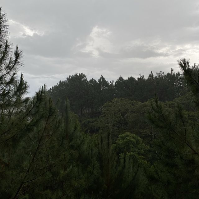 never a dull moment in the forest!