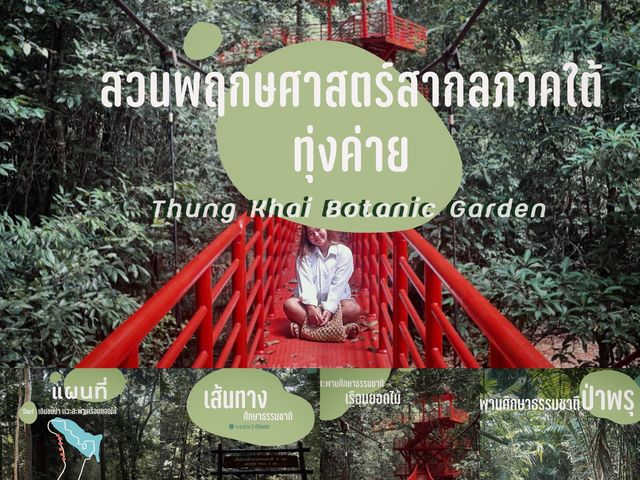 เดินชมยอดไม้ ที่สวนพฤกษศาสตร์ทุ่งค่าย