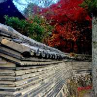 きれいな庭園と国宝の建物、土岐川を望む事も出来る歴史ある禅寺