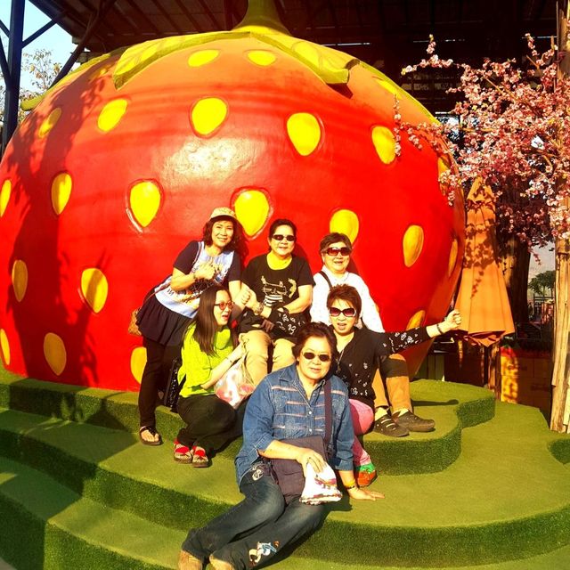 Love Strawberry Pai