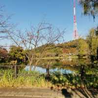 【三ツ池公園】横浜