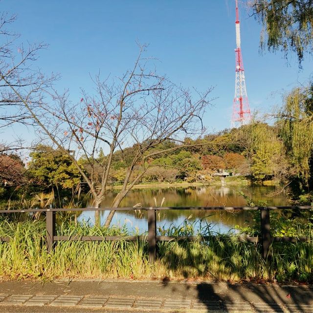 【三ツ池公園】横浜