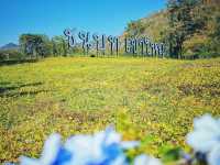 ชนบท เขาใหญ่ - Chonnabot Khaoyai