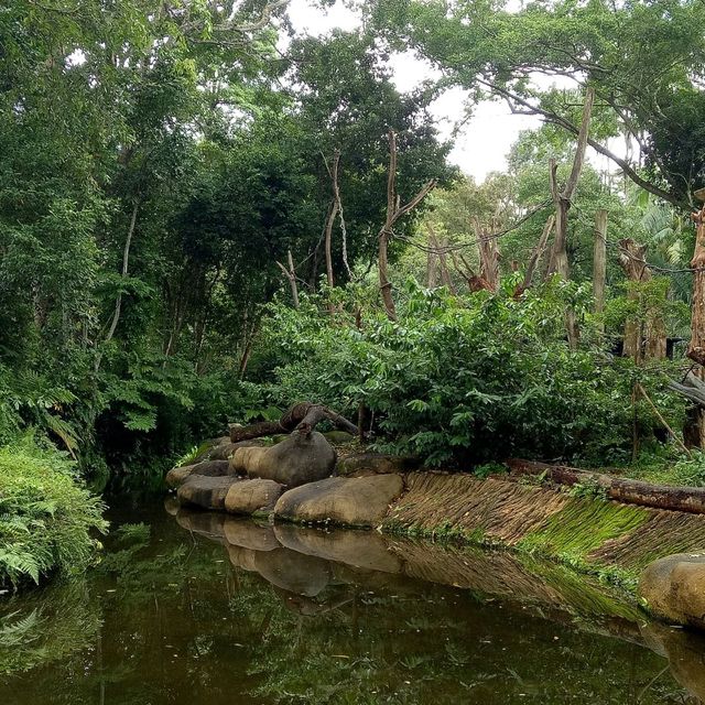 Campany Family Day @ Singapore Zoo