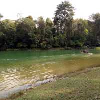 MacRitchie Reservoir