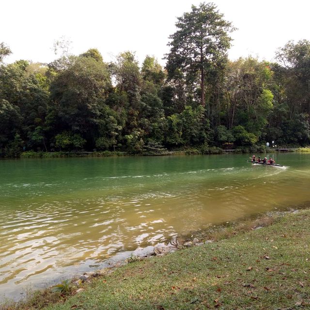 MacRitchie Reservoir