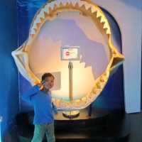 School Holidays Activities at Aquaria KLCC
