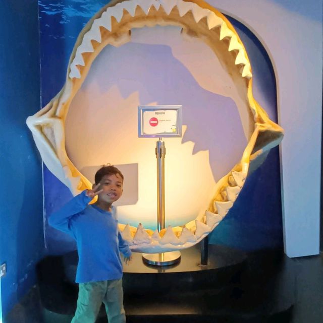 School Holidays Activities at Aquaria KLCC