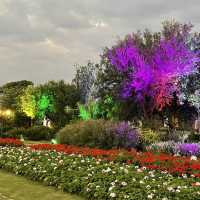 The Night Light of Flora Fest
