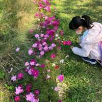 Ma On Shan park with festive decorations 