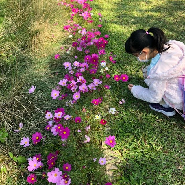 Ma On Shan park with festive decorations 