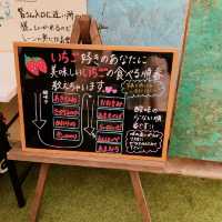 【いちご狩り】いろんな種類のいちご食べ放題！🍓🍓
