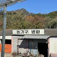 농기구병원뷰로 유명한 창녕 카페귀촌