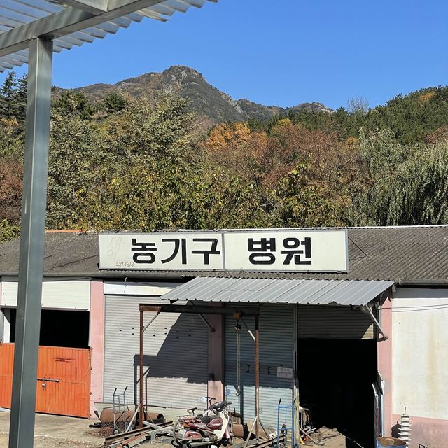 농기구병원뷰로 유명한 창녕 카페귀촌